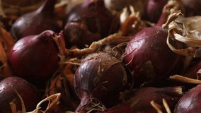 Shallow depth of field (selective focus) video with organic fresh red onions