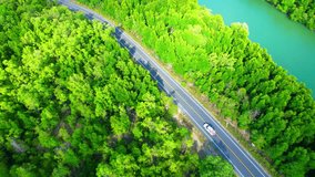 Aerial view above car driving on asphalt paved road at mangrove forest, A beautiful river runs parallel to the road. Thailand. transportation and nature concept. Stunning stock video footage. 4K
