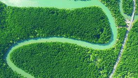 Flying over meandering river and dense mangrove forest with our drone footage in 4K, showcasing its ecological significance and scenic beauty. Nature concept. Stunning stock video