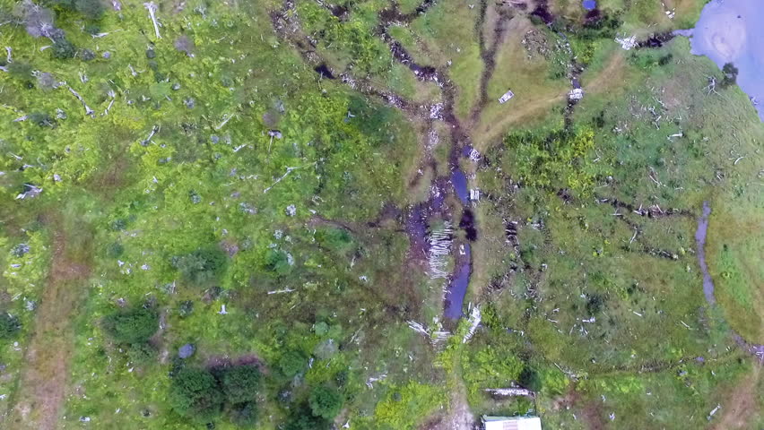 Rural scenery. Natural texture and pattern. Overhead aerial shot of a stream flowing across the green meadow and forest.