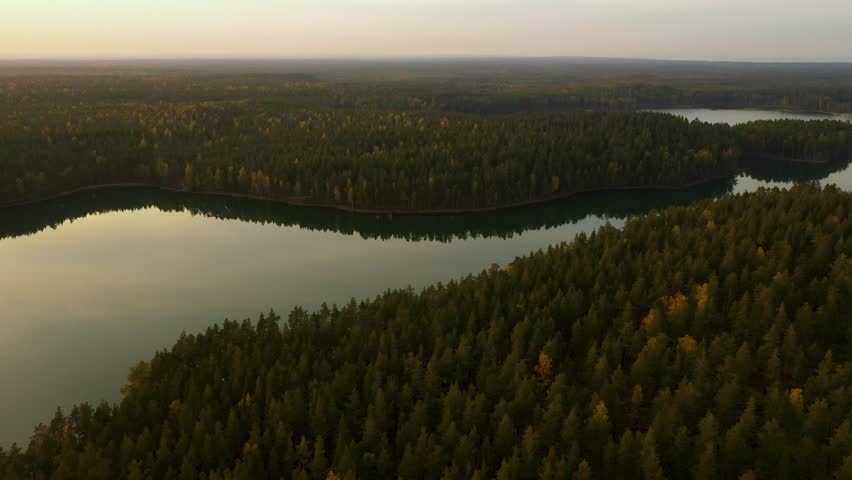 Forest, lake. Aerial view. Coniferous forest in autumn. Lake in forest.