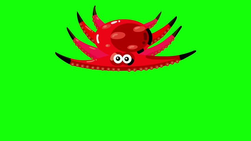 Swimming cartoon animation red octopus isolated. No bubbles version, character only. Cute animal squid character on greenbox good for keying. Kid animations, intro, fairy tales, etc...
 Royalty-Free Stock Footage #1100897447