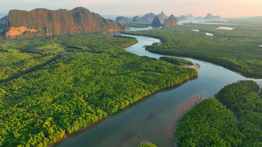 Beautiful Jungle in Thailand at sunrise, Phang nga bay aerial view, tourism in Thailand, scenic Thai nature, rainforest ecosystem with river meander in the tropics. High quality 4k footage