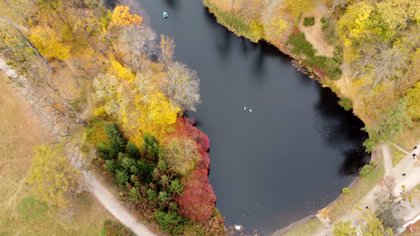 View of autumn park with lakes with swans, trees with yellow red green leaves, meadow, architecture, waterfall and people walking along dirt paths on autumn day. Natural background Beautiful landscape
