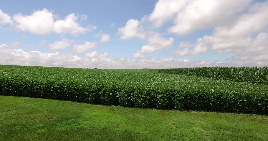 Farm Landscape Aerial Footage. 020