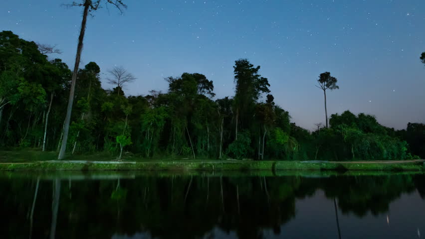Night landscape Time lapse video lake view forest tree milky way Galaxy background animated time lapse High quality video ProRes 422
