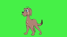 Motion video of a cartoon dog walking on a green screen