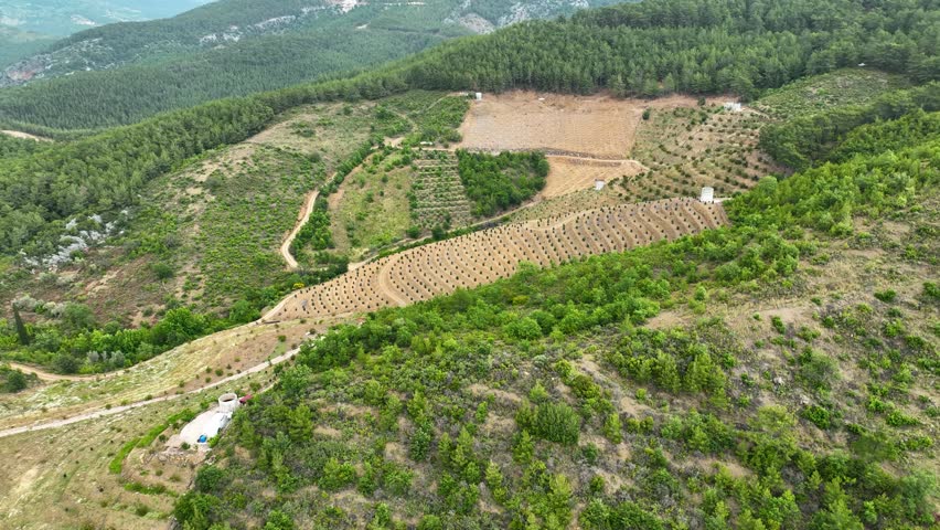 Farm Region Aerial View 4 K Alanya Turkey
