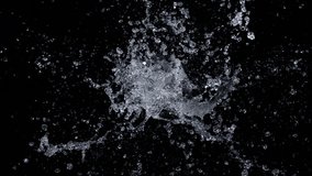 Super Slow Motion Shot of Real Water Splash Explosion from Surface Isolated on Black at 1000fps. - Powered by Shutterstock - Get 15% off with code: PIKWIZARD15