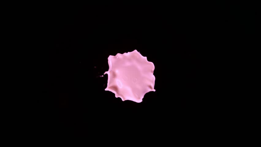 Super Slow Motion Shot of Pink Milky Splash Flying Towards Camera Isolated on Black at 1000fps.