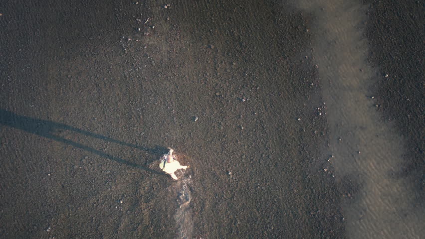 Farmer throwing rice seed by hand on wet mud flooded agricultural paddy field, aerial slow motion shot