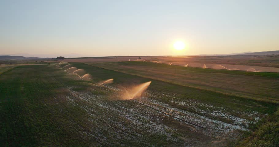 Agriculture field with water sprinklers irrigating system at sunset, aerial shot Royalty-Free Stock Footage #1100964681