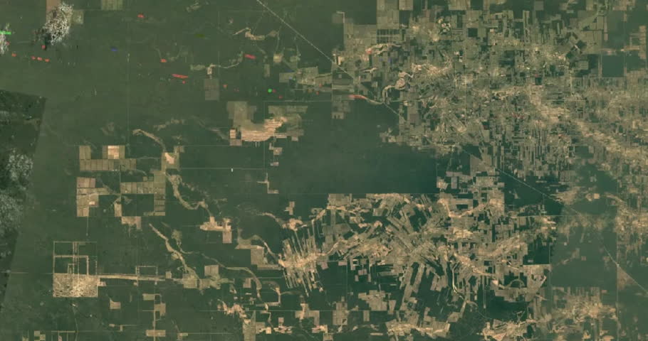 37 Years of Deforestation: Intensive Disappearance of Forests in Paraguay Over Several Decades. Data: www.nasa.com Royalty-Free Stock Footage #1100977229