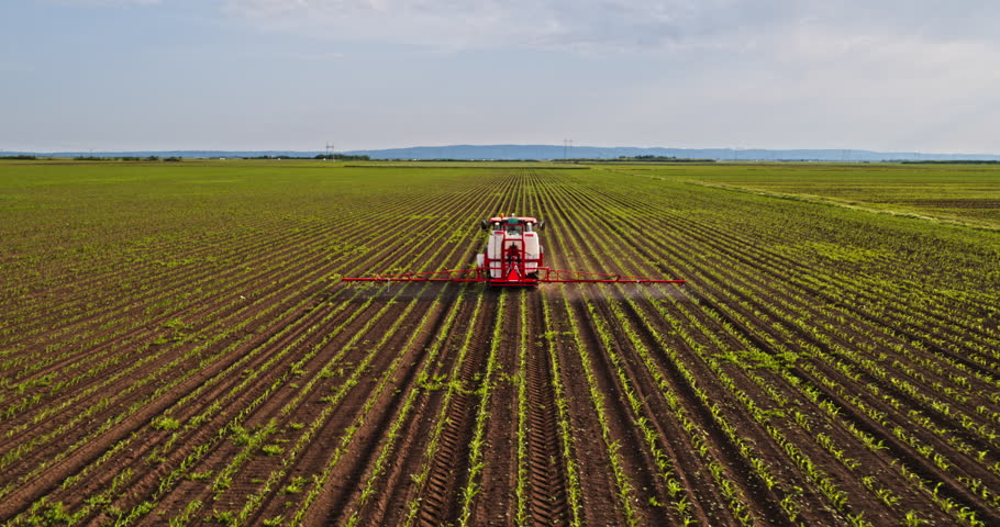 Farmer in tractor spraying industrial green corn maize farm field. Royalty-Free Stock Footage #1100984463