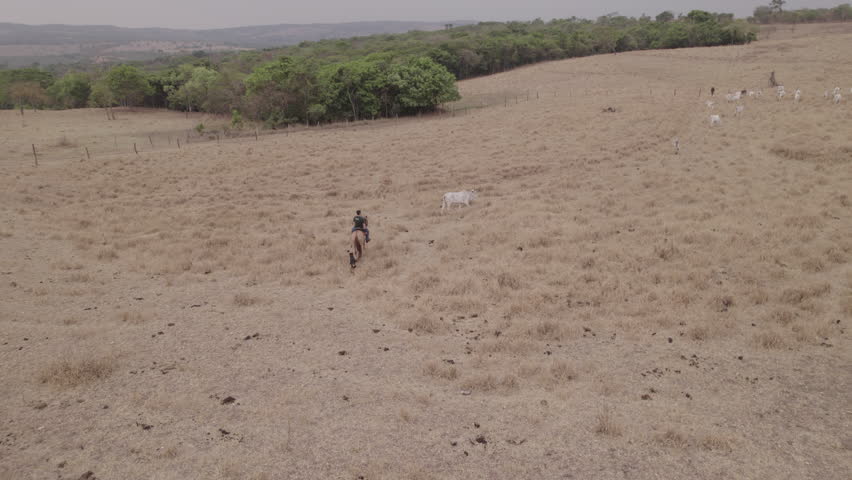 farmer riding on livestock farm