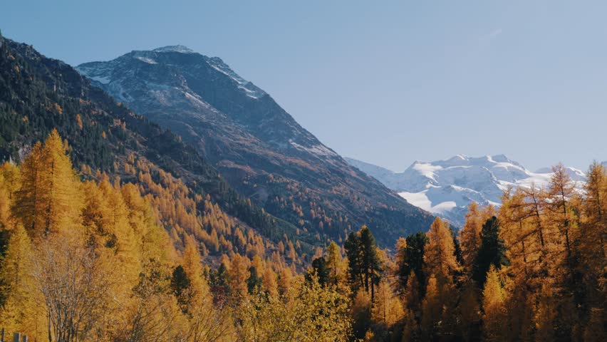 mountains covered in snow with orange autum larches at morteratsch, switzerland