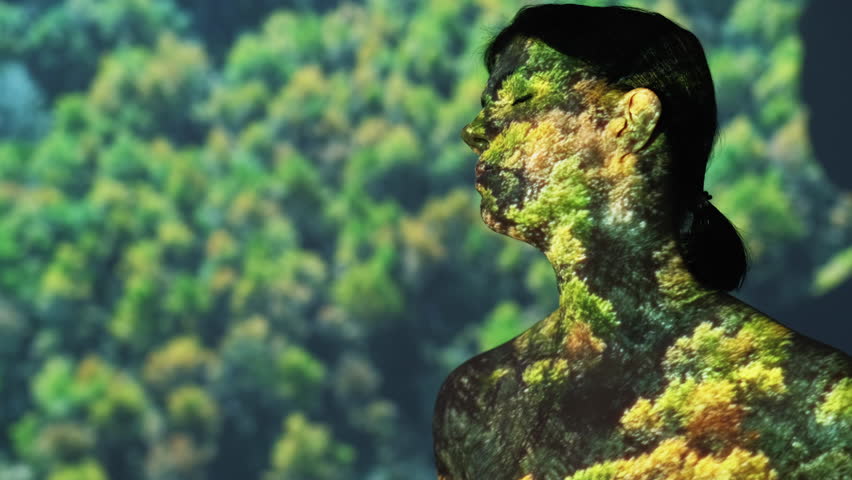 Freedom mind. Female silhouette portrait. Nature unity. Tranquil woman posing on double exposure forest trees aerial view overlay background copy space.