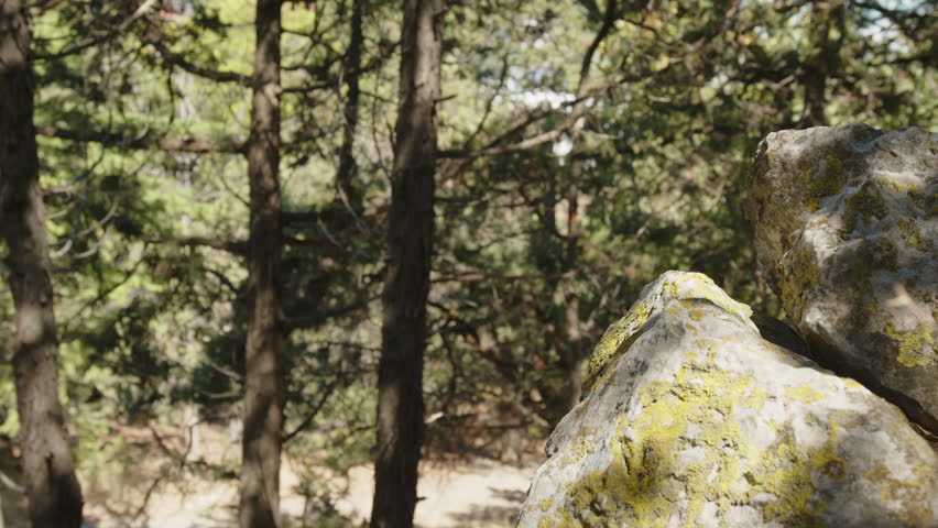 Women traveler difficult uphill climb clinging hand to rock.
