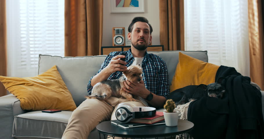 Happy relaxed beard man sitting on sofa with dog relaxing switching channels with remote control watching interesting news films movie on tv. | Shutterstock HD Video #1101016565