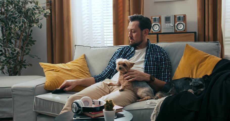 Busy young handsome man sitting on sofa talking on phone with colleaugues stroking puppy on knees happy weekends concept at home. Cute dog with man.Father take remote control switche channels . | Shutterstock HD Video #1101016599