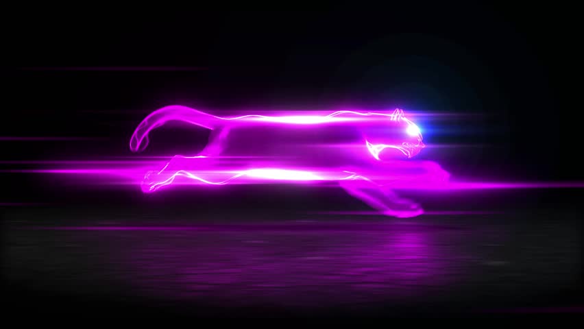 jaguar neon animal animation background. jaguar neon effect for logo intro Royalty-Free Stock Footage #1101020059