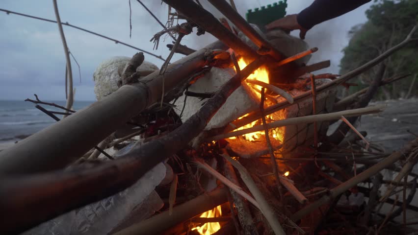 Fire burning wood and trash. fire on the beach bonfire party. Bonfire on the beach.Campfire on an uninhabited island. Empty beach with a wood campfire. Nature Campfire Camping. | Shutterstock HD Video #1101032715