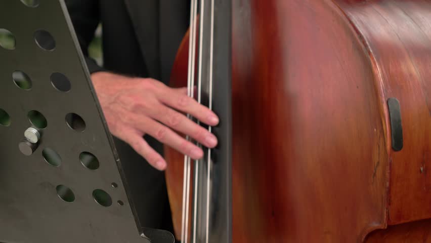 Musician demonstrates good music by playing cello at wedding | Shutterstock HD Video #1101034423