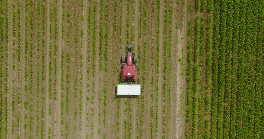 Fertilizer tractor spreading Fertilizer over a corn field Royalty-Free Stock Footage #1101037845