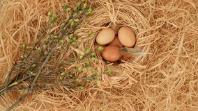 Easter eggs. Chicken eggs, twigs with green leaves and feathers on the hay. Easter holiday concept background rotating