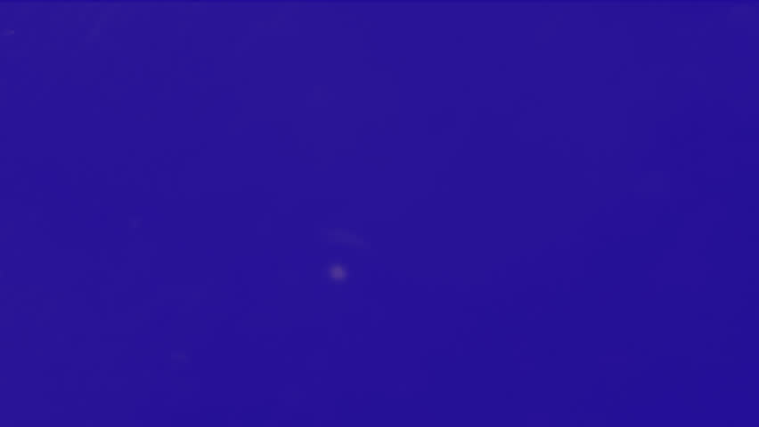 Animation of you win text over neon video game controller and purple background. Video game, entertainment and communication concept digitally generated video. - Powered by Shutterstock - Get 15% off with code: PIKWIZARD15