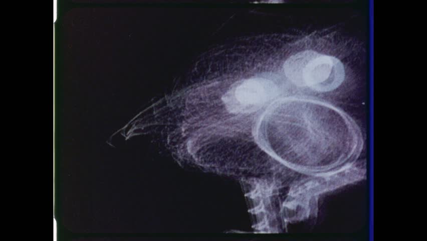 1978 United States, Abstract black and white computer animation of low poly figure or geometric character. Psychedelic character animation for Vj Loop or club visual, video wall. 4K Overscan of film