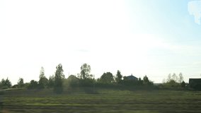 roadside view, road and landscape, forest and field, view from the car window