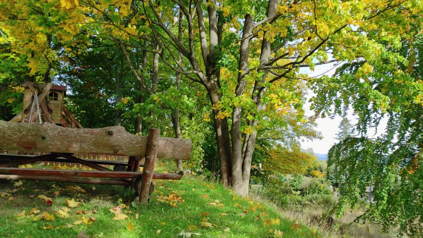 beautiful autumn forest sways in the wind. seating area under the trees. Szklarska Poreba, Poland. natural sound