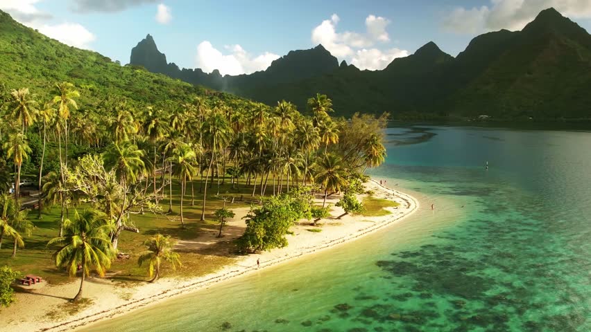 Drone aerial Tahiti. Moorea island, French Polynesia. clear blue water lagoon. Exotic travel vacation getaway, romantic honeymoon destination. Royalty-Free Stock Footage #1101056931