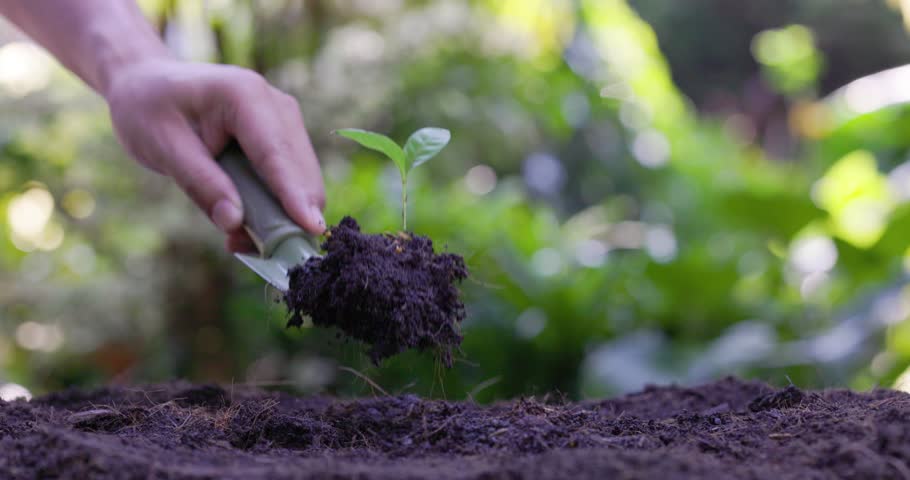 Agriculture. A farmer hand hands planting green sprout. Green seedling in soil. Agriculture concept. Water drops, life of young sprout. Sprouted seed in fertile soil. Farmer hand waters young seedling Royalty-Free Stock Footage #1101063441