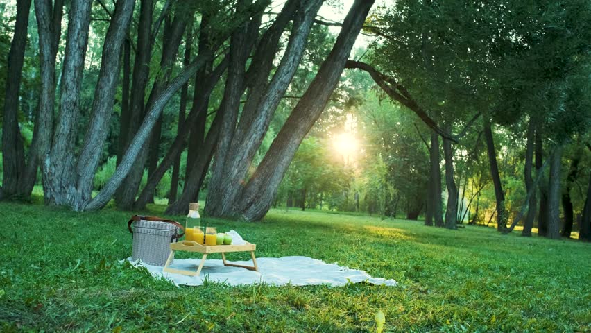 Small picnic table in the park in the morning at dawn. Juice and fruit	
