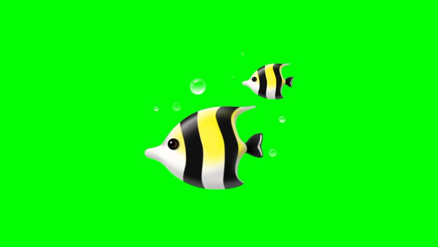 Illustration of sea ornamental fish swimming on a green background
 Royalty-Free Stock Footage #1101070861