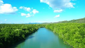 A river winds its way through lush mangrove forests. Majestic mountains tower in the background as the vast blue sky stretches overhead. Travel and Nature concept. Amazing high quality stock video
