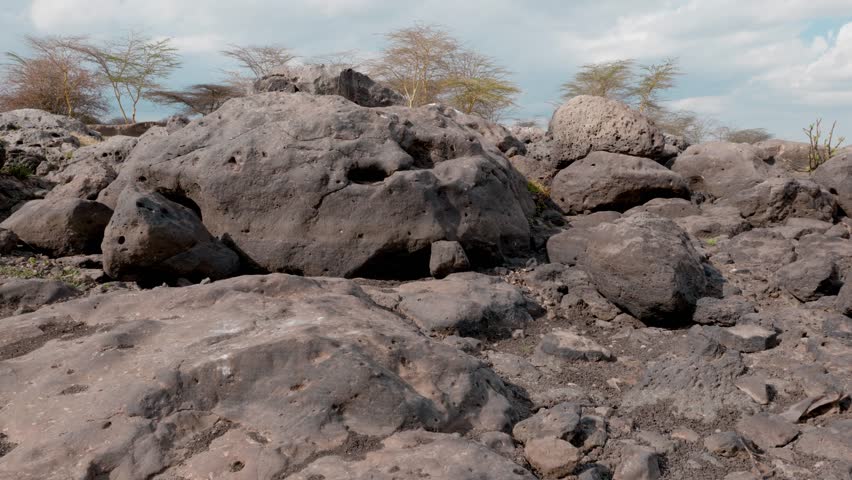view of a dry rock formation with some trees in the background