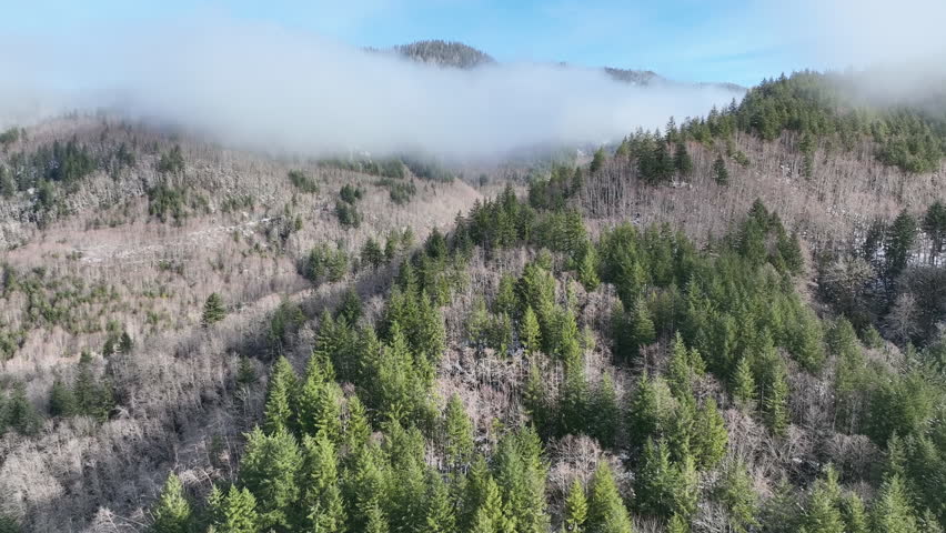 Clouds drift across the scenic coastal range of northern Oregon between Tillamook and Portland. The Coast Range is a series of mountain ranges along the Pacific coast, from Baja California to Alaska.