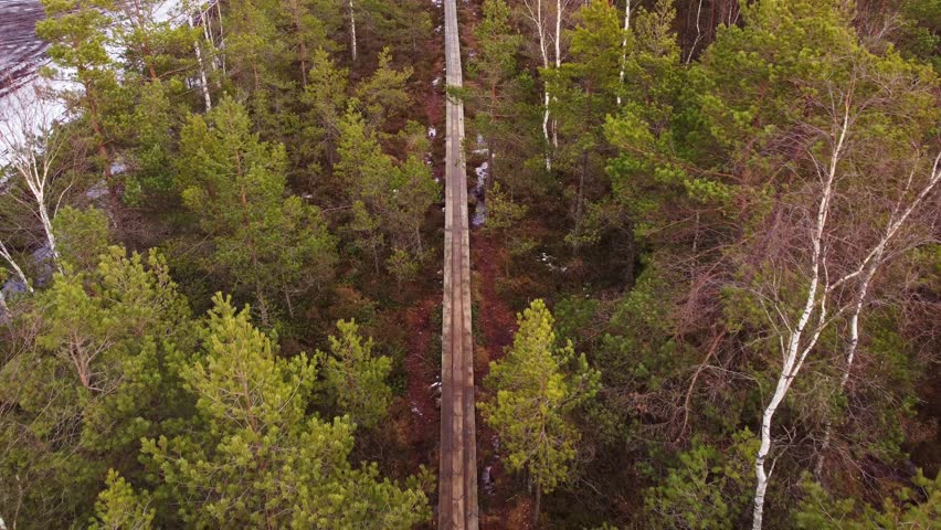 Sensational aerial drone view of Swamp Latvian landscape with narrow boardwalk
