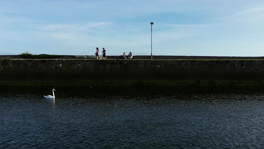 People of all ages walking, chilling and appreciating the scenery on a summer day. Panning shot in slow motion. Swans in the foreground. Nimmo