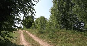 4K bright summer day high quality video of lush bright green countryside forest and fields in rural village outskirts in Yaroslavl Region of Russia