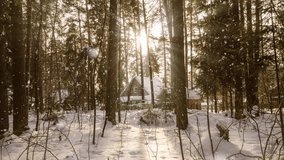 Hyperlapse of a wooden hut in the forest on a beautiful snowy day. A lone hut in the middle of a forest that can withstand the snowfall in a cold winter. Winter fairy tale. Time lapse, camera movement