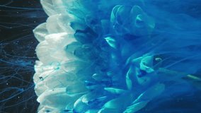 Vertical video. Flower mist. Ink water splash. Underwater plant. Blue color paint floating motion over white daisy petals on black background. - Powered by Shutterstock - Get 15% off with code: PIKWIZARD15