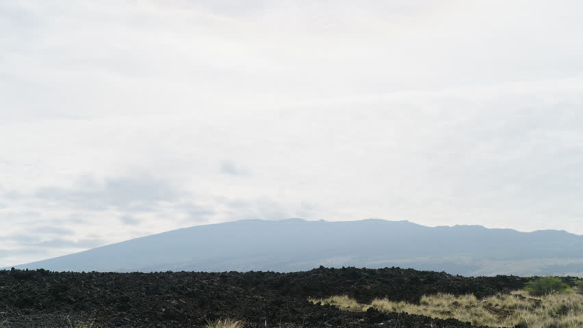 Green Shrub In Black Volcanic Lava Field With Mountain View In Distance, Hawaii 4K