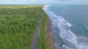 Road between palm trees along ocean, Nagua in Dominican Republic. Aerial forward