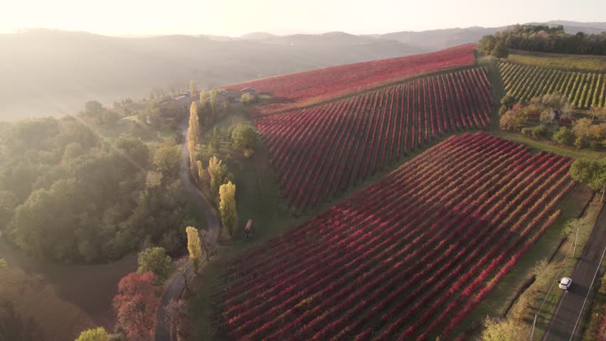 Modena colourful vineyard rows 4K aerial view in full red and green on top of the hill, Emilia Romagna , Italy Royalty-Free Stock Footage #1101107531