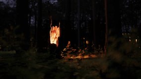 Night forest with an enlightened stump. 4K Loop Video footage of twilight environment with copy space. Complete darkness for horror or fantasy video. 3D Illustration