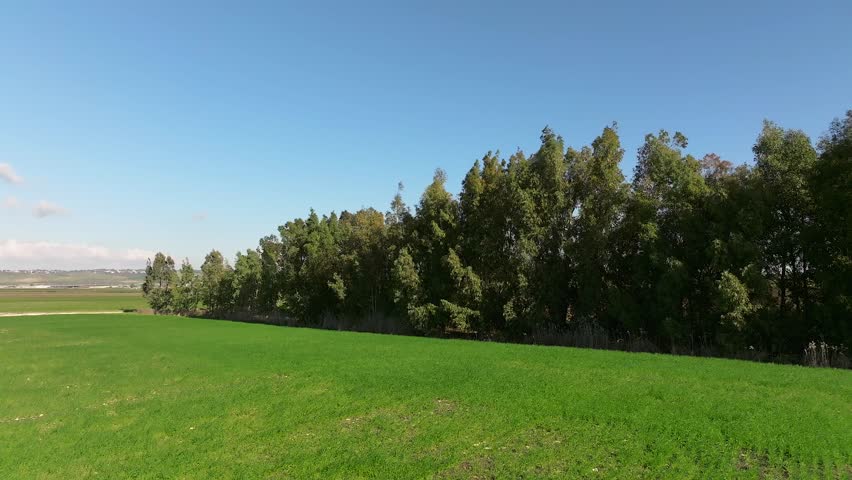 Lush green meadow with beautiful tree line across the field and clear blue sky in the background
